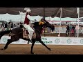 Mehria championship tent  pegging horse riding 2023