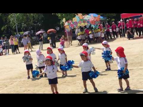 2016年6月18日 いきものがかり じょいふる