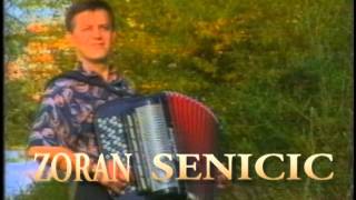 Zoran Senicic Zikino Kolo
