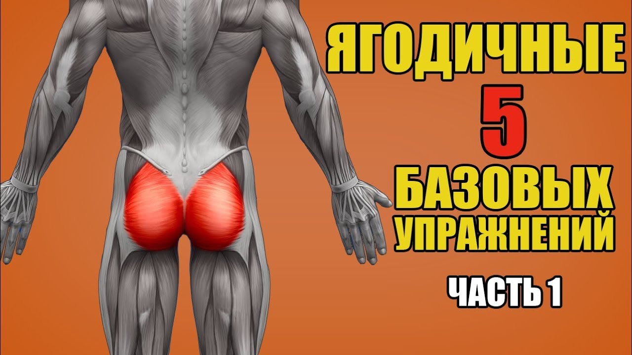 Комплекс упражнений на мышцы ног и ягодицы ютуб thumbnail