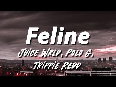 Juice WRLD - Feline ft. Polo G & Trippie Redd (Lyrics)