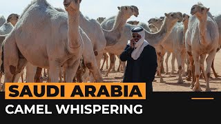 Saudi Arabia’s traditional camel whisperers | Al Jazeera Newsfeed