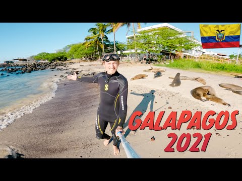 Video: Een Uitgebreide Reisgids Voor De Galapagos-eilanden