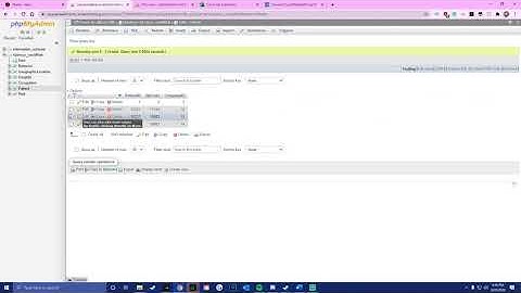 Applying ER Diagram to Make a Database & Showing Examples of CRUD