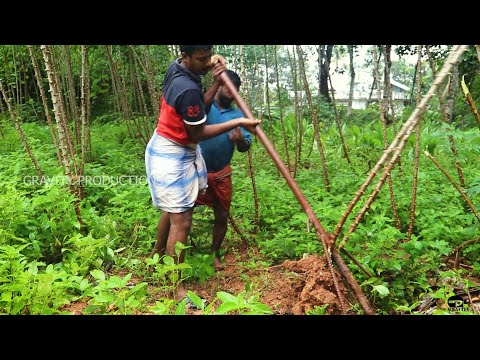 Tapioca Harvesting Tool For Easy Harvest/Cassava Harvester