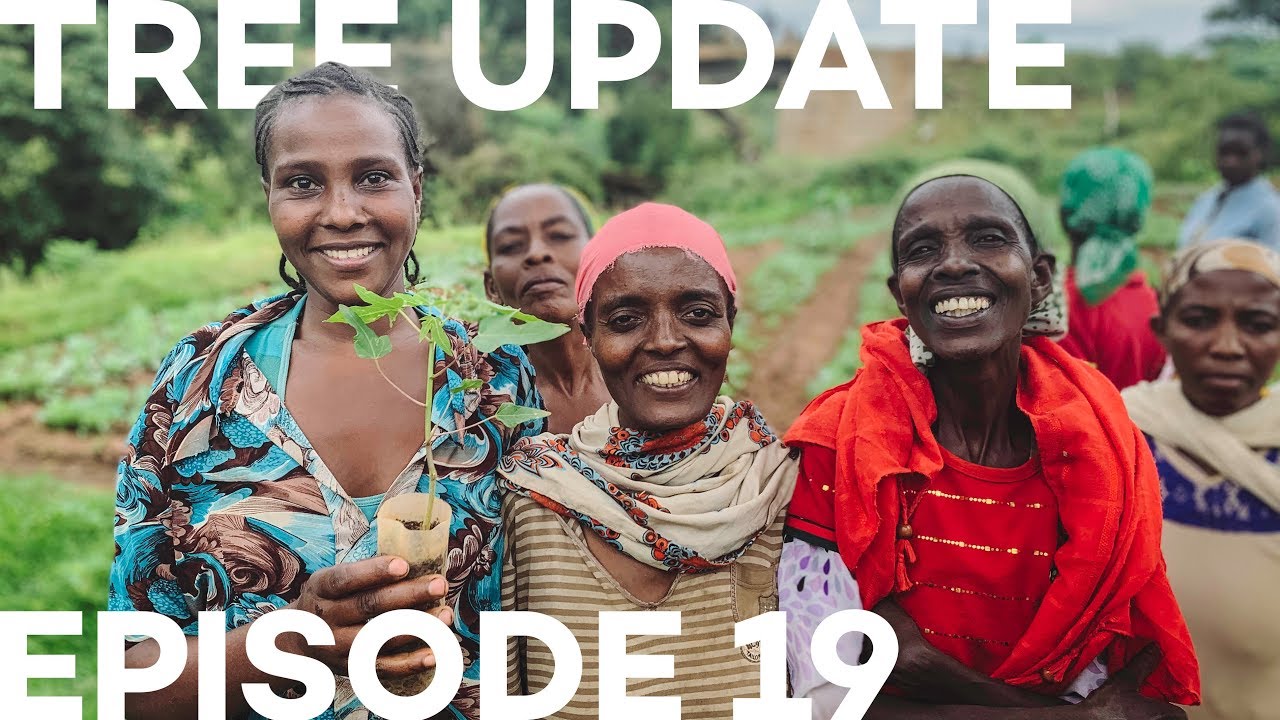 Updates Tree Tree Update Episode 19 - YouTube