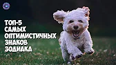 HOROSCOPE Гороскоп