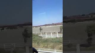 Balıkesir at çiftliği🤣😂✋✋✋