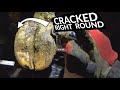 CRACKED COWS HOOF ... how to help her | The Hoof GP