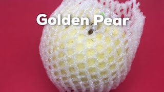 Golden Pear Asmr screenshot 5