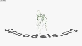 Rabbit Lymphatic System 3D model by 3DModels.org