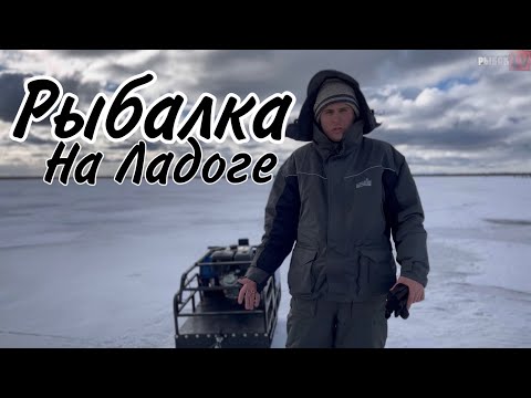 Ловля окуня на Ладоге в марте. Рыбалка в Ленинградской области. Ладожское озеро. Креницы.
