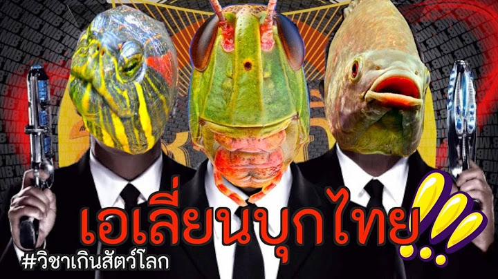 เอเลี่ยนบุกไทยแต่ทำไม....  [สาระนอกห้องเรียนแบบวิชาเกินสัตว์โลก] #เอเลี่ยน #เอเลี่ยนสปีชีส์