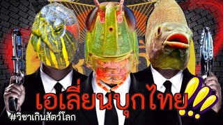 เอเลี่ยนบุกไทยแต่ทำไม.... [สาระนอกห้องเรียนแบบวิชาเกินสัตว์โลก] #เอเลี่ยน #เอเลี่ยนสปีชีส์