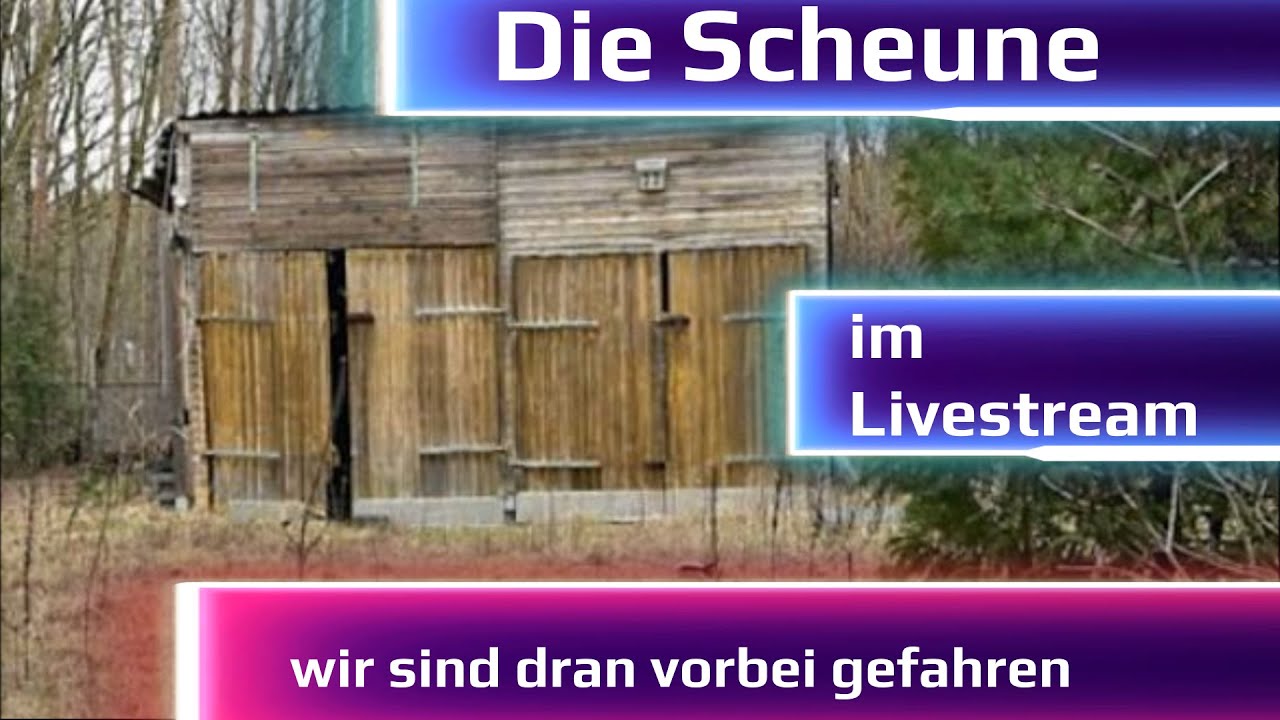Die Gartenlaube. in dem angrenzenden Wald wurde Rebecca von der Polizei gesucht