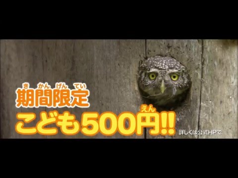 映画『シーズンズ　2万年の地球旅行』30秒 動画