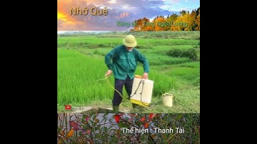 Nhớ Quê - Thanh Tài@ngocluongofficial9964#Shorts