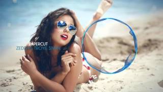 Zedd ft. Troye Sivan - Papercut