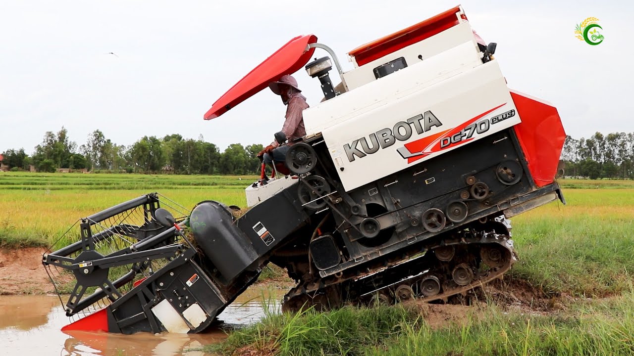 Nicely Action Rice Harvesting Machine Safety Operator Skills | Rice Cutting Machine Driving Skills