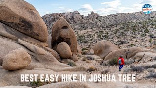 Split Rock Trail, One of the Best Easy Hikes in Joshua Tree National Park by That Adventure Life 732 views 1 month ago 9 minutes, 34 seconds
