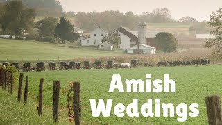 Amish Wedding Questions: Marriage Age? Wedding Rings? & More