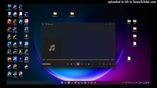 win 11 no bgm beta