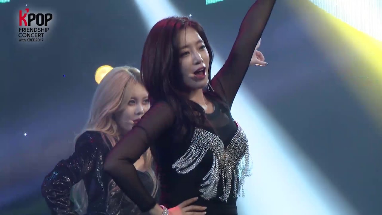 2017 Korea & Vietnam Friendship KPOP Concert [T-ARA - ROLY POLY]