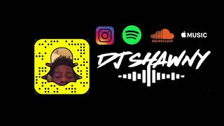 DJ Shawny ~ Trouble [Put Me Down] (Remix)
