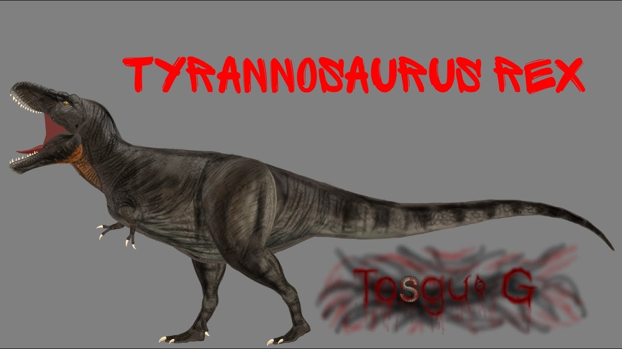 [DC2/fossil]Self made model display-Tyrannosaurus Rex - YouTube