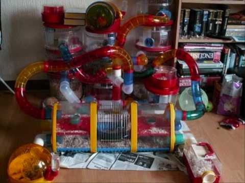 Crazy Hamster Cages, Part 1!