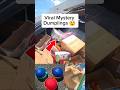I found viral Mystery dumplings dumpster diving!! #dumpsterdiving #mystery
