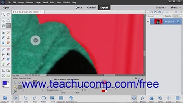 Photoshop Elements 2019 Tutorial The Refine Selection Brush Tool Adobe Training