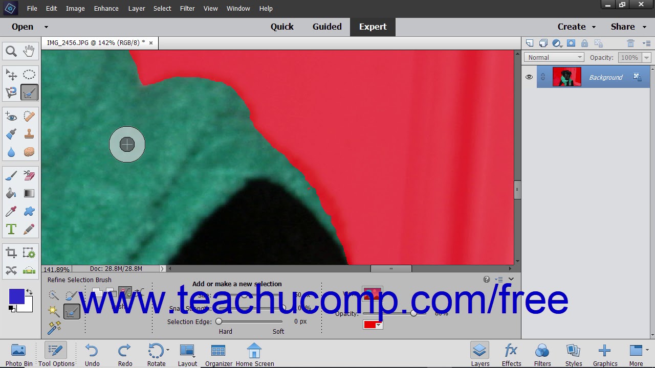Photoshop Elements 2019 Tutorial The Refine Selection Brush Tool Adobe ...