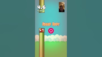 Flapp0y bird#gd