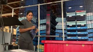 How Pick and Pack Fulfillment Services Enhance Order Processing