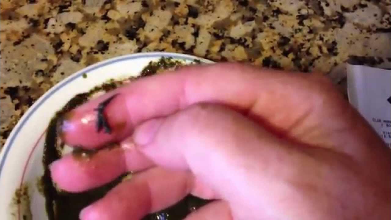 Blendtec blender gasket problem! Shredded plastic in drink! YouTube