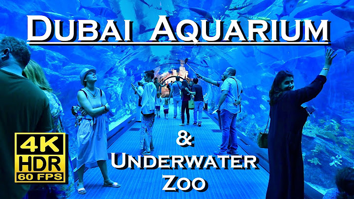 Dubai aquarium & underwater zoo at the top burj khalifa