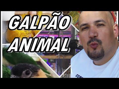 VEM COMIGO CONHECER O GALPÃO ANIMAL?! - A LOJA DO ANIMAL “LEGAL”