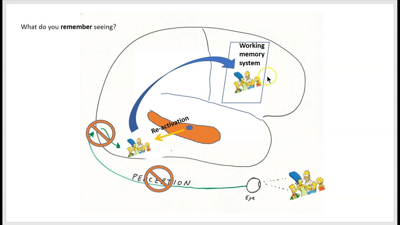 Re-activation hypothesis for memory retrieval: part 1