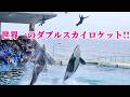 オープニング「ダブルスカイロケット」最高!! 鴨川シーワールド シャチショー KamogawaSeaWorld orca killerwhale