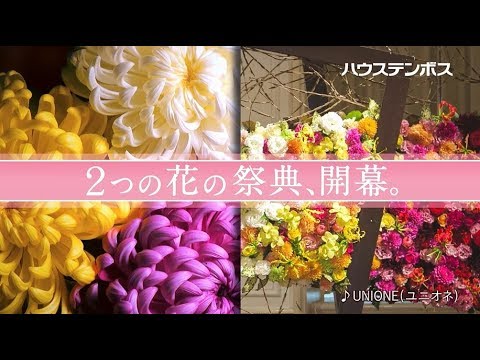 【ハウステンボス公式】フラワージャパンカップTV-CM - 大好評のフラワージャパンカップに今年はマム(菊)展も同時開催！