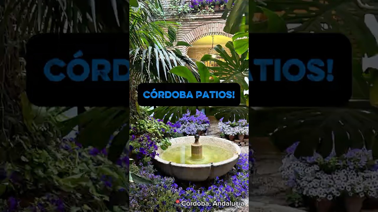 🌸🌺🌼 La Fiesta De Los Patios De Córdoba 🌸🌺🌼