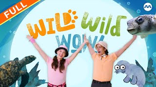 Download Lagu 【FULL】 Ocean Crew! Flippers, Fins \u0026 Blubber | Wild Wild Wow #Marathon MP3