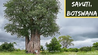 Wet Season Safaris | Self Drive 4x4 Botswana | Chobe4x4 | Ep 2