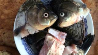 Рибна юшка, уха з коропа Рибна юшка, уха з коропа