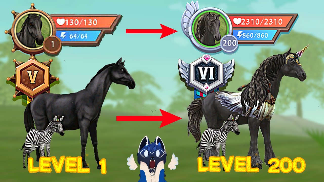 Upando o Cavalo do Nível 1 ao Nível 200  e Mudando de Rank / De Noob a Pro no WildCraft