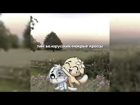 °~тим белорусских-мокрые кроссы