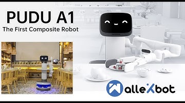 Wallexbot - Model: PUDU A1, the first composite robot in the restaurant business.