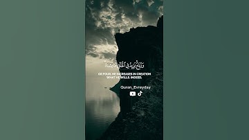 الحمد لله فاطر السموات والأرض - ياسر الدوسري - سورة فاطر #ياسر_الدوسري #قرآن #سورة_فاطر