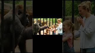 Gorilla’s Heart-Touching Kindness | Emotional Short Film